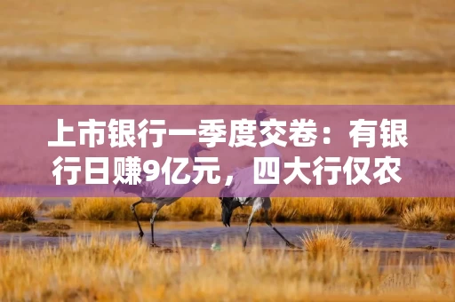 上市银行一季度交卷：有银行日赚9亿元，四大行仅农行净利润实现同比增长