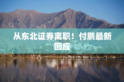 从东北证券离职！付鹏最新回应