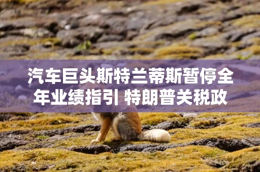 汽车巨头斯特兰蒂斯暂停全年业绩指引 特朗普关税政策带来不确定性