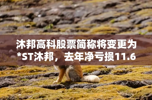 沐邦高科股票简称将变更为*ST沐邦，去年净亏损11.62亿元