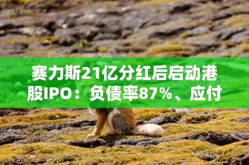 赛力斯21亿分红后启动港股IPO：负债率87%、应付款685亿 Q1销量下跌超4成、研发投入仅为比亚迪10%