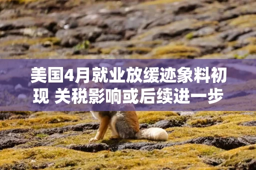 美国4月就业放缓迹象料初现 关税影响或后续进一步加剧