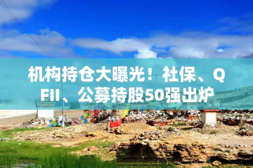 机构持仓大曝光！社保、QFII、公募持股50强出炉