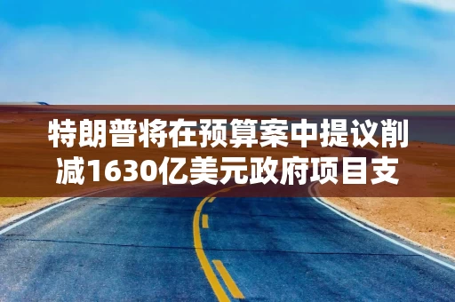 特朗普将在预算案中提议削减1630亿美元政府项目支出