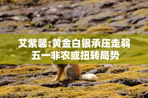 艾紫馨:黄金白银承压走弱 五一非农或扭转局势