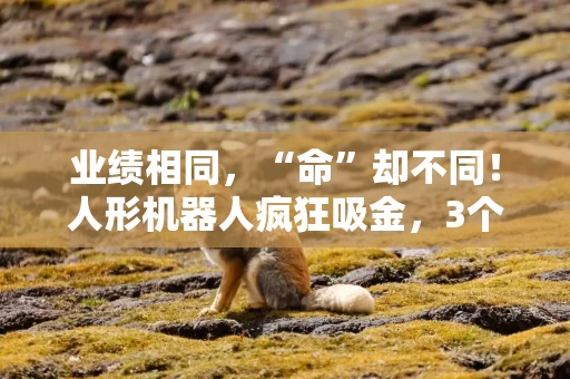 业绩相同，“命”却不同！人形机器人疯狂吸金，3个月基金规模暴增51倍