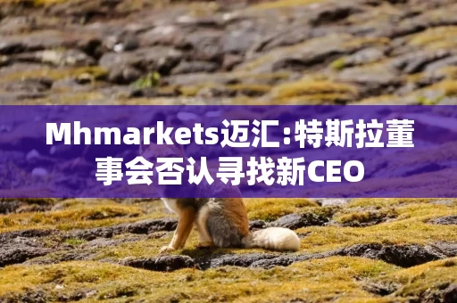 Mhmarkets迈汇:特斯拉董事会否认寻找新CEO