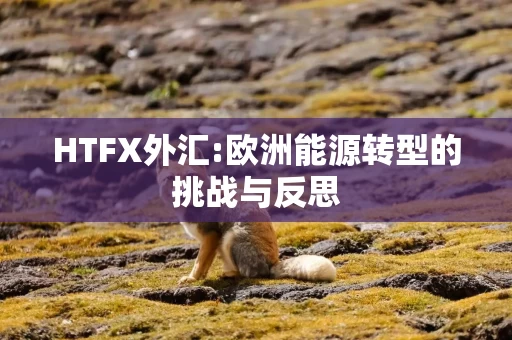 HTFX外汇:欧洲能源转型的挑战与反思
