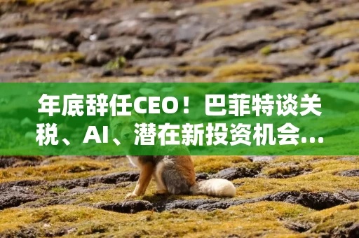 年底辞任CEO！巴菲特谈关税、AI、潜在新投资机会……一文速览十大要点
