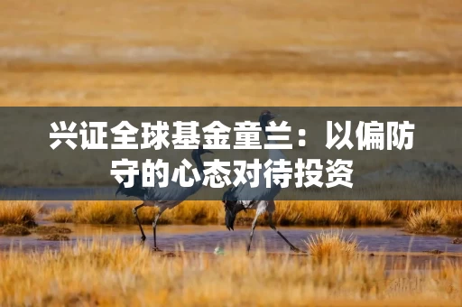 兴证全球基金童兰：以偏防守的心态对待投资