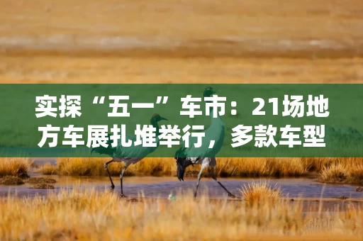 实探“五一”车市：21场地方车展扎堆举行，多款车型趁机“大放价”