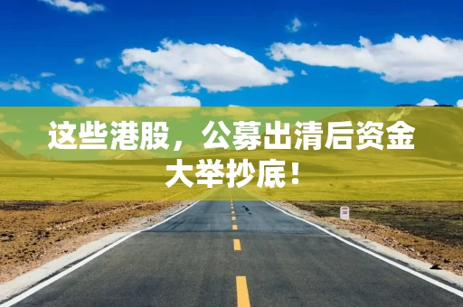 这些港股，公募出清后资金大举抄底！