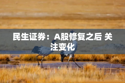 民生证券：A股修复之后 关注变化