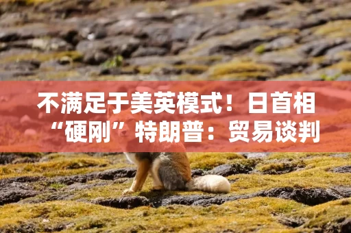 不满足于美英模式！日首相“硬刚”特朗普：贸易谈判以“零关税”为目标