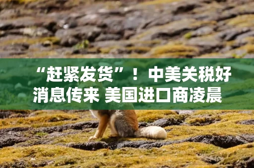 “赶紧发货”！中美关税好消息传来 美国进口商凌晨“蹦下床打电话”
