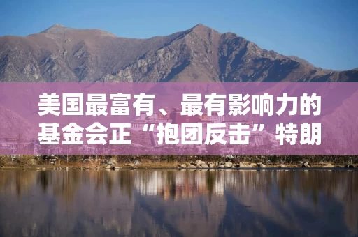 美国最富有、最有影响力的基金会正“抱团反击”特朗普！