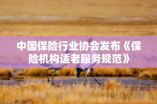 中国保险行业协会发布《保险机构适老服务规范》