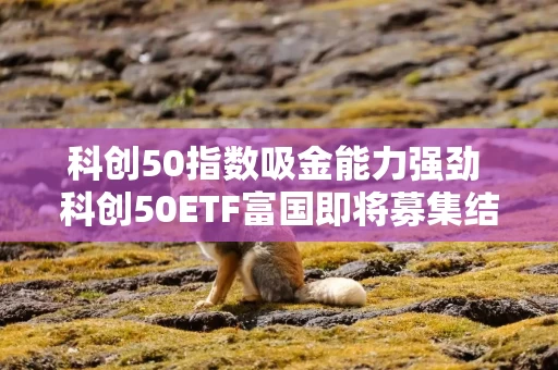 科创50指数吸金能力强劲  科创50ETF富国即将募集结束