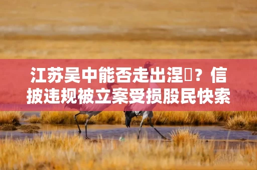 江苏吴中能否走出涅槃？信披违规被立案受损股民快索赔