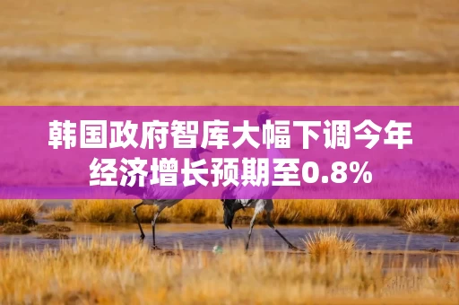 韩国政府智库大幅下调今年经济增长预期至0.8%