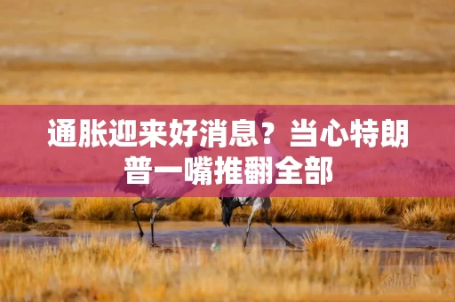 通胀迎来好消息？当心特朗普一嘴推翻全部