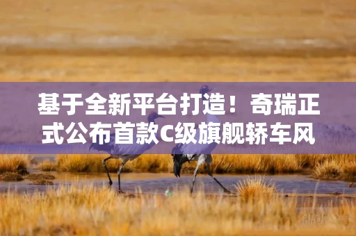 基于全新平台打造！奇瑞正式公布首款C级旗舰轿车风云A9L