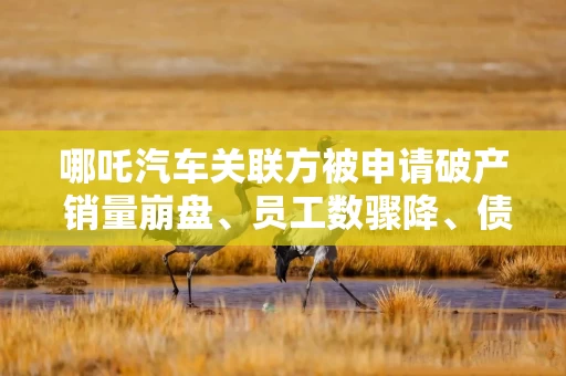 哪吒汽车关联方被申请破产 销量崩盘、员工数骤降、债转股计划近乎流产