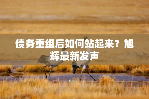 债务重组后如何站起来？旭辉最新发声