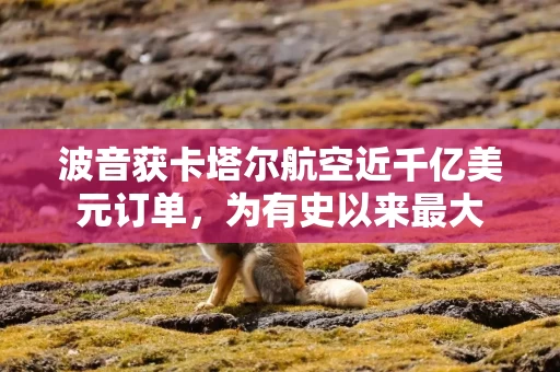 波音获卡塔尔航空近千亿美元订单，为有史以来最大