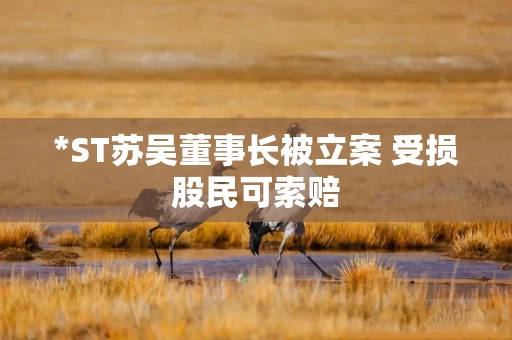 *ST苏吴董事长被立案 受损股民可索赔