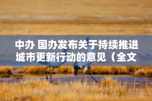 中办 国办发布关于持续推进城市更新行动的意见（全文）