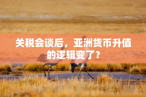 关税会谈后，亚洲货币升值的逻辑变了？