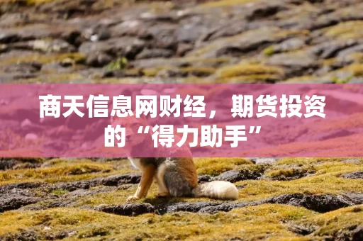 商天信息网财经，期货投资的“得力助手”