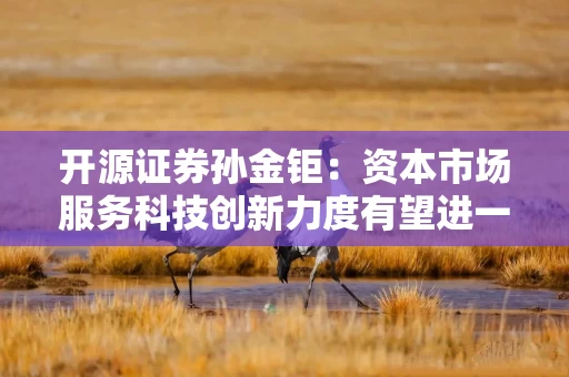 开源证券孙金钜：资本市场服务科技创新力度有望进一步提升