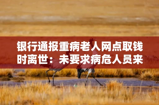 银行通报重病老人网点取钱时离世：未要求病危人员来网点
