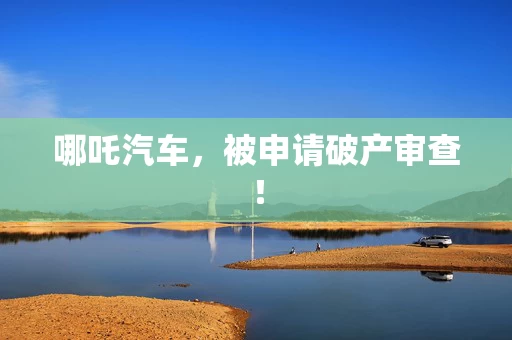 哪吒汽车，被申请破产审查！