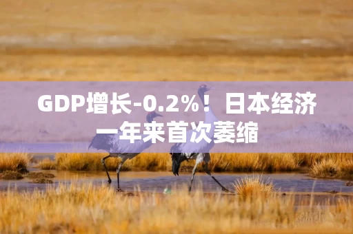 GDP增长-0.2%！日本经济一年来首次萎缩