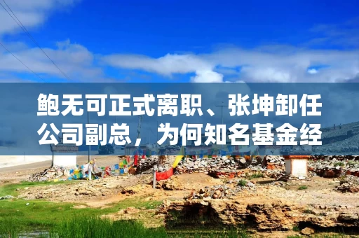 鲍无可正式离职、张坤卸任公司副总，为何知名基金经理今年变动频频？