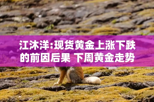 江沐洋:现货黄金上涨下跌的前因后果 下周黄金走势分析行情