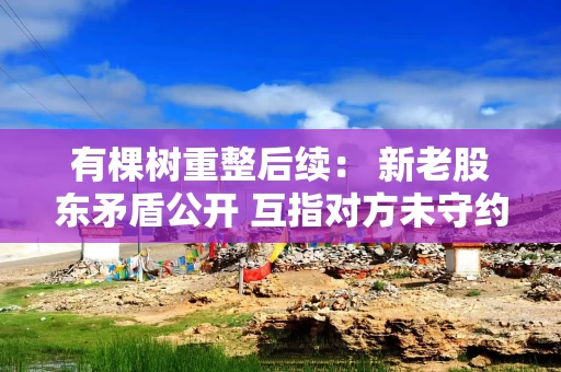 有棵树重整后续： 新老股东矛盾公开 互指对方未守约