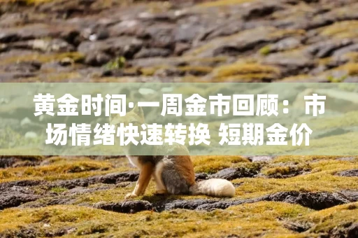 黄金时间·一周金市回顾：市场情绪快速转换 短期金价大幅波动难免