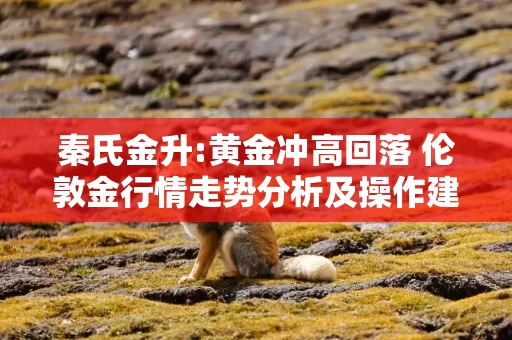 秦氏金升:黄金冲高回落 伦敦金行情走势分析及操作建议