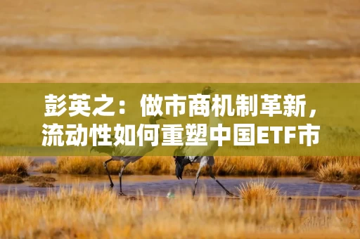 彭英之：做市商机制革新，流动性如何重塑中国ETF市场生态