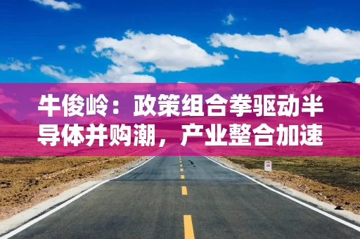 牛俊岭：政策组合拳驱动半导体并购潮，产业整合加速与估值重构进行时