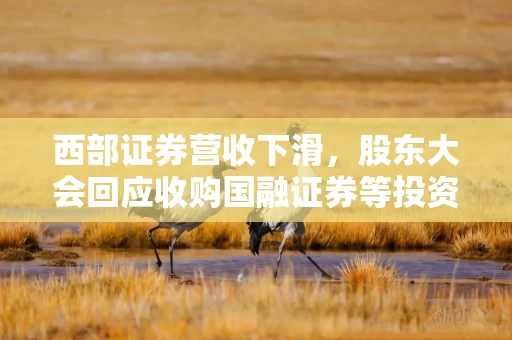西部证券营收下滑，股东大会回应收购国融证券等投资者关注事项