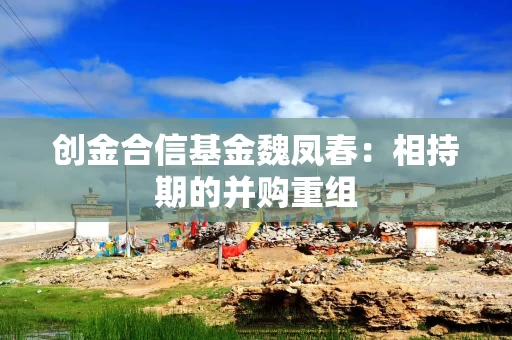 创金合信基金魏凤春：相持期的并购重组