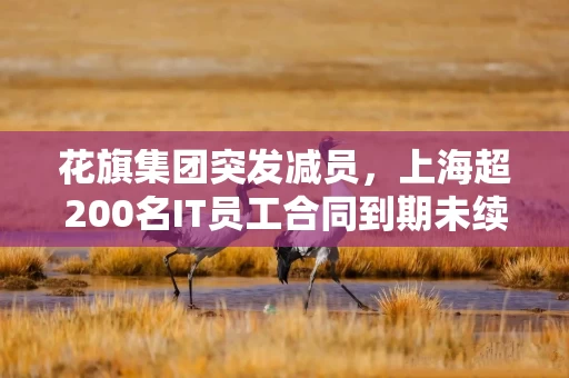 花旗集团突发减员，上海超200名IT员工合同到期未续约