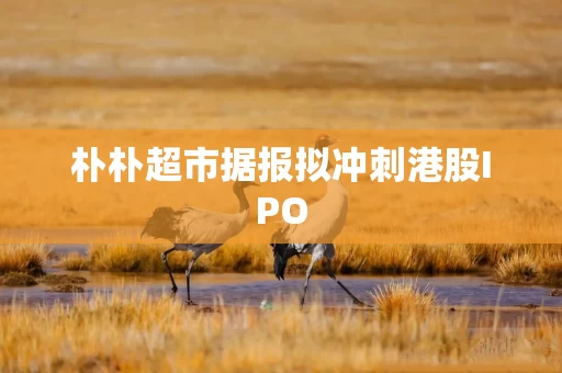 朴朴超市据报拟冲刺港股IPO