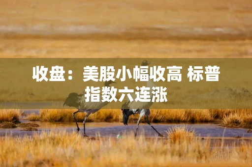 收盘：美股小幅收高 标普指数六连涨