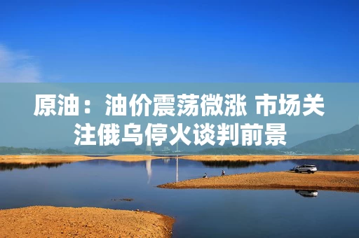 原油：油价震荡微涨 市场关注俄乌停火谈判前景